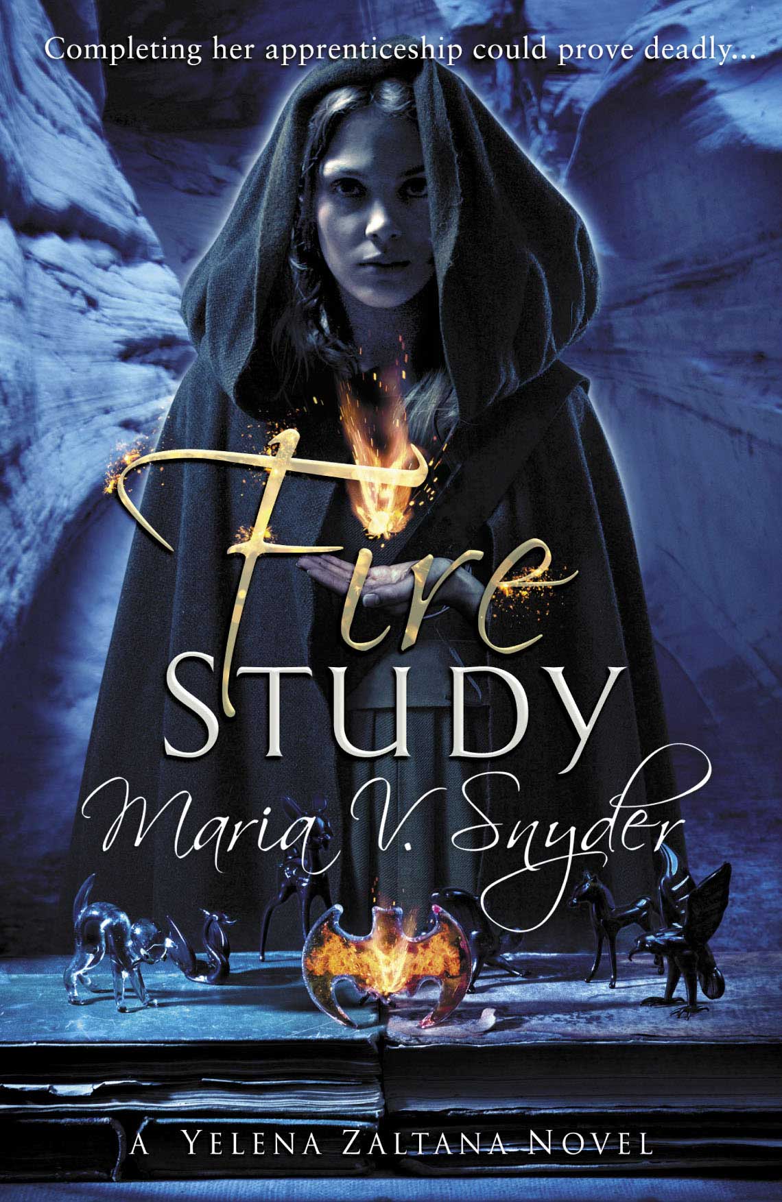 Fire Study Maria V. Snyder